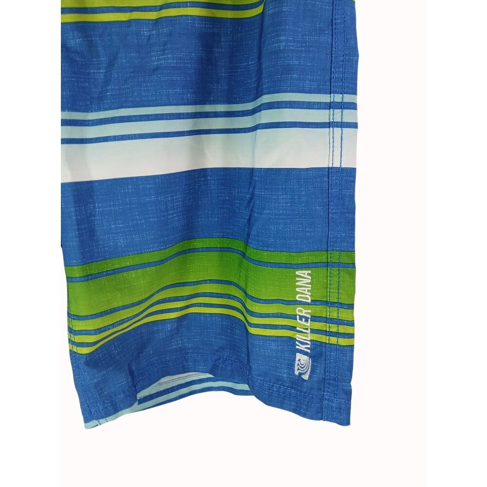 Killer Dana Mens Blue Green Ombre Striped Swim Board Shorts Size 34 Pocket - Picture 3 of 13